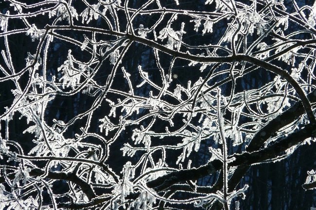 Мороз и штиль: синоптики рассказали о новогодней погоде на Ямале