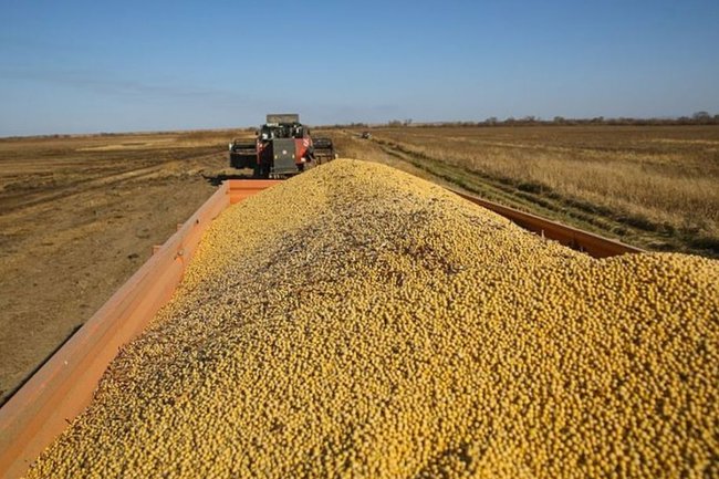 Фото: пресс-служба правительства Приморского края