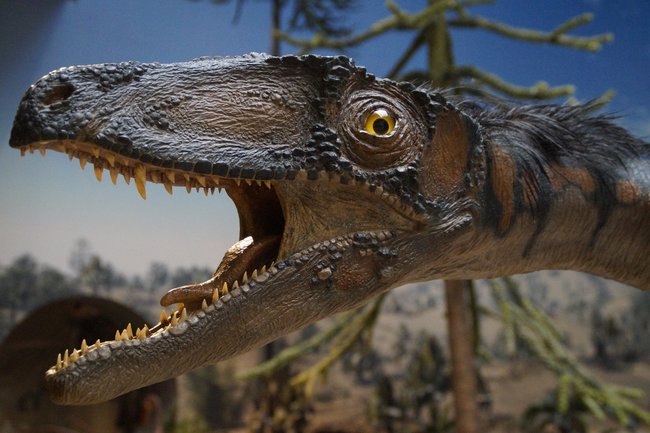 В Пыть-Яхе откроется первый в России парк с динозаврами в натуральную величину