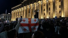 Глава МВД Грузии: Митингующие собирались штурмовать дом правительства