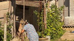 Перенос индексации пенсий на целый год: новое решение для пенсионеров