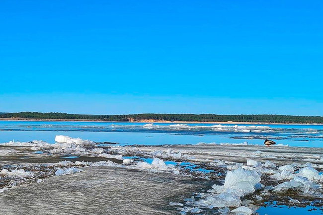 Паводок, подтопление