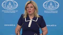 Захарова стихами Пушкина прокомментировала визит послов «евротройки» в МИД