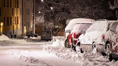 Потепление и мокрый снег придут в Воронежскую область в последние выходные января