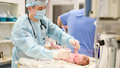 новорожденный младенец роддом рождение неонатолог