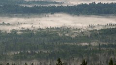 В Красноярском крае пропал отец пятерых детей после исчезновения семьи Усольцевых