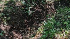 Штраф в 11,5 миллионов рублей за незаконную добычу воды для белгородской компании