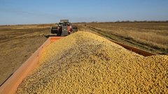 В Амурской области аграрии собрали рекордный урожай сои