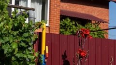 Психиатр Литков обсудил, как работа на огороде может повлиять на депрессию