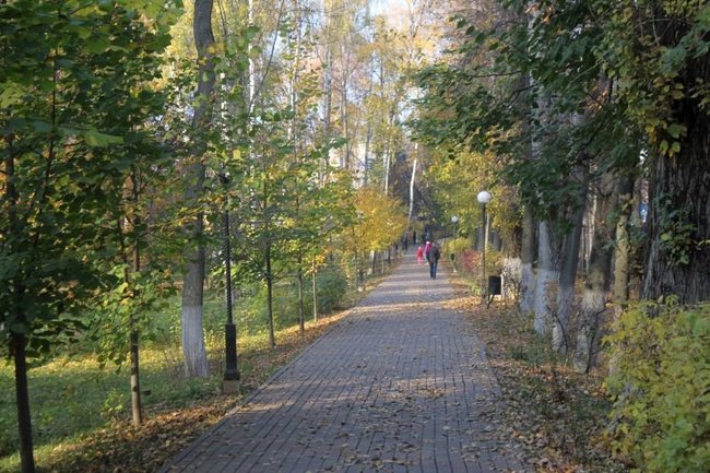 В Сургуте благоустраивают парк «Кедровый лог»