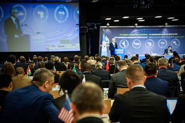 Интерпол Interpol