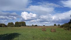Определены регионы России с высоким уровнем климатической уязвимости