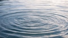 В Кызыле найдены останки 13-летней девочки в водоеме у дамбы