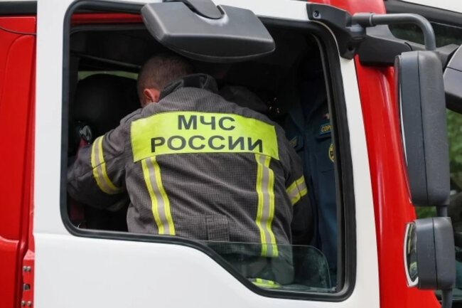 В Уфе пенсионер застрял на дереве на высоте шести метров