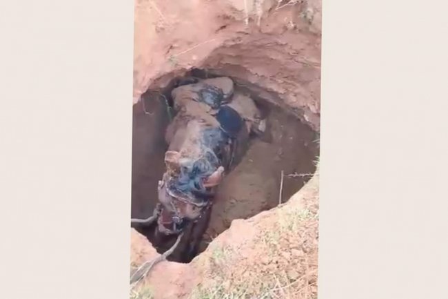 Фото: astr_archaeology / Telegram