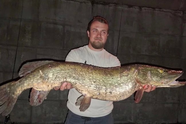 «Я сторонник спортивной рыбалки по принципу „поймал — отпустил“, — делится своим опытом Александр Шкаликов.