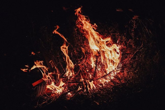 В ХМАО спрогнозировали, что количество лесных пожаров превысит норму в сотни раз