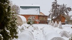 Не допустить замерзания: советы по защите растений от отрицательных температур