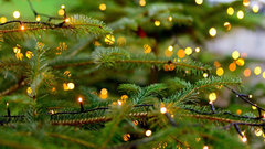 Елена Малышева предупредила о рисках, связанных с мигающими гирляндами