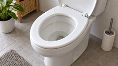 Известковый ободок в унитазе: средство выбирают для керамики