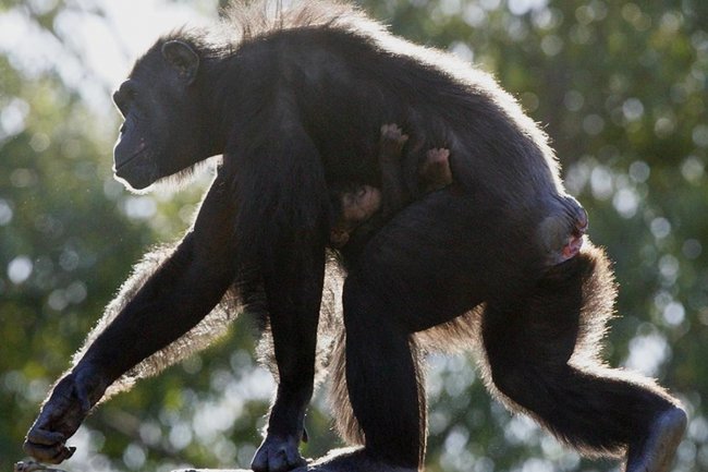 Фото: Matt Blyth / Getty Images