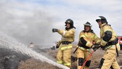 Поджигатель травы в Тюменской области заплатит крупный штраф