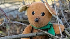 В одном из сёл Коми исчез ребёнок