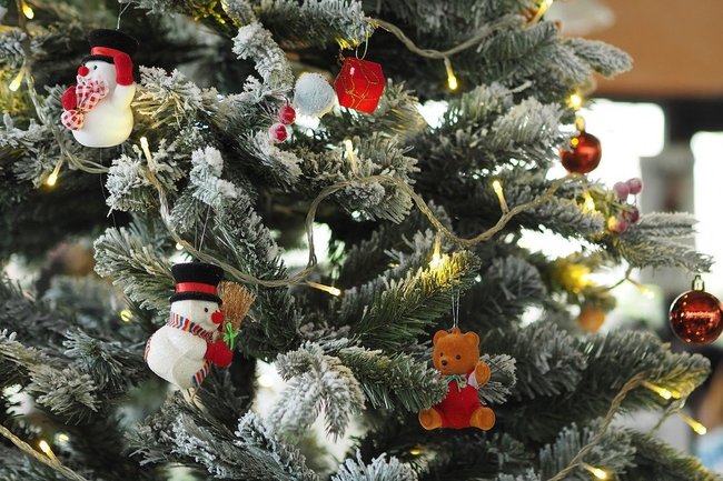 Первую новогоднюю елку в Воронеже установили на улице Шишкова
