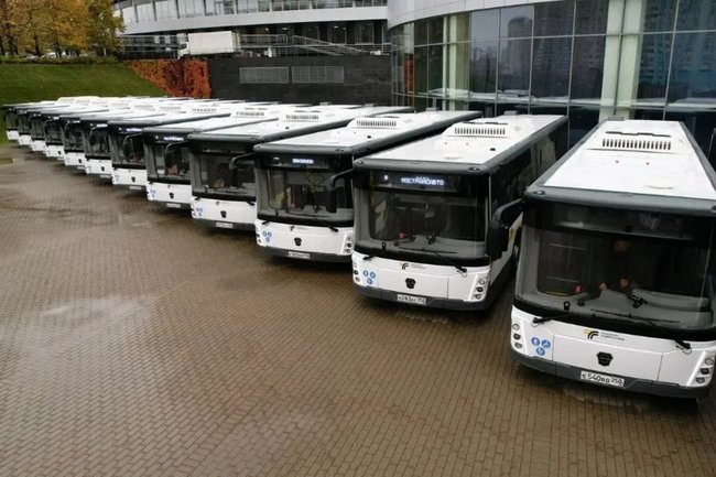 Автобус / Подмосковье