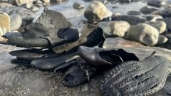 На британском пляже найдено 400 пар старинной обуви после массового трагического события