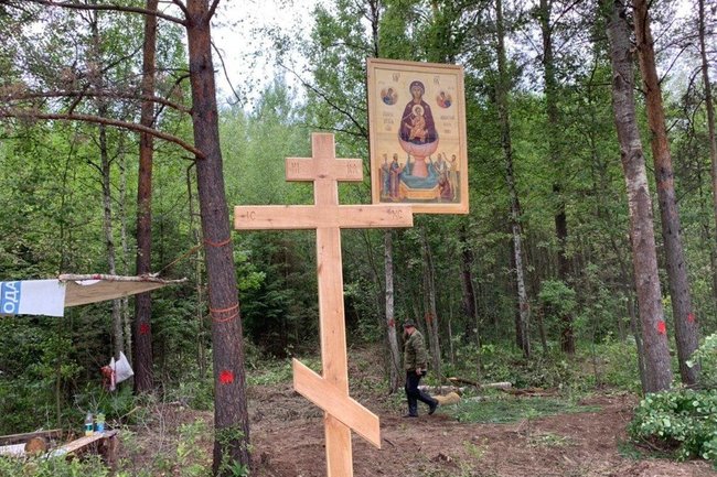 Жители Подмосковья решили бороться с мусором в лесах иконами и крестами