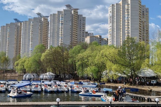 Фото: РБК Черноземье