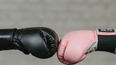 После победы над Пересом Габил Мамедов сделал предложение Алсу