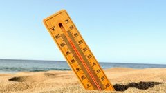 Опасно для здоровья: климатологи предсказали жаркое лето