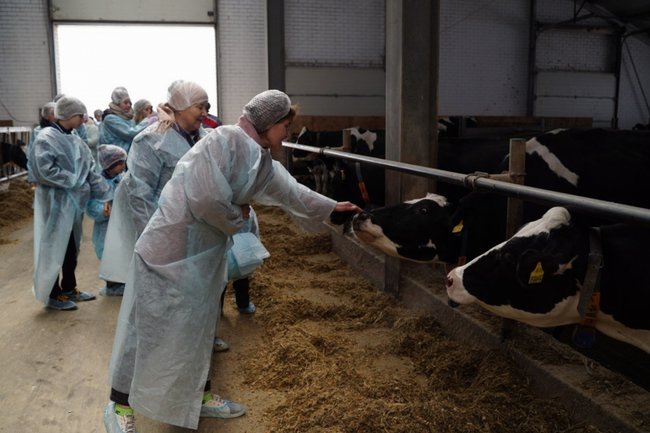 АПК, экскурсия, коровы