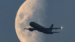 Росавиация попросила авиакомпании снизить случаи недопуска багажа на рейсы