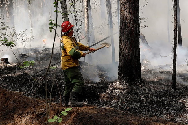 Якутия и Красноярск помогут Ямалу тушить лесные пожары