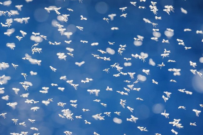 Михаил Кутузов / ТАСС