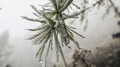 Снег и потепление ожидаются в Приморском крае на выходных