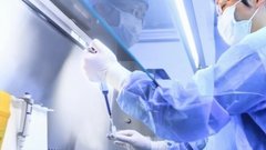 Учёные создали новые антитела против вируса, поражающего 95% населения