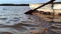 В Республике Коми начат сбор пожертвований для поиска 18-летней девушки, унесенной рекой