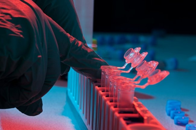 Питер и Псков претендуют на звание родины российского штамма ковида