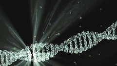 В правительстве России одобрили законопроект о геномной регистрации военных