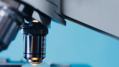 Исследования российских ученых открывают новые горизонты в лечении рака