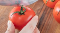 Фатальные ошибки дачников: это погубит урожай помидоров