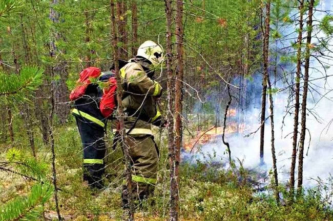 В ХМАО тушат три ландшафтных и два лесных пожара