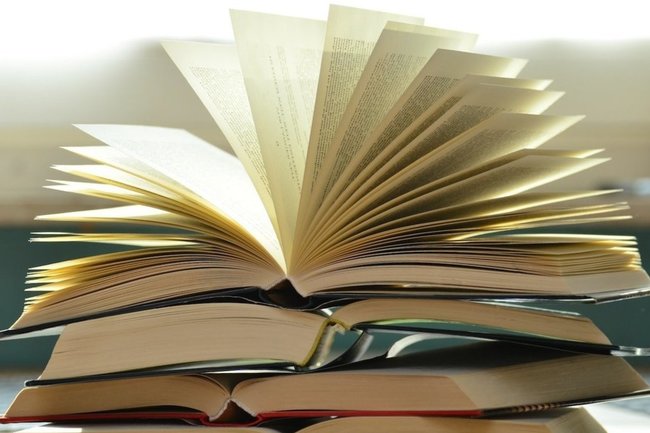 Книга / словарь