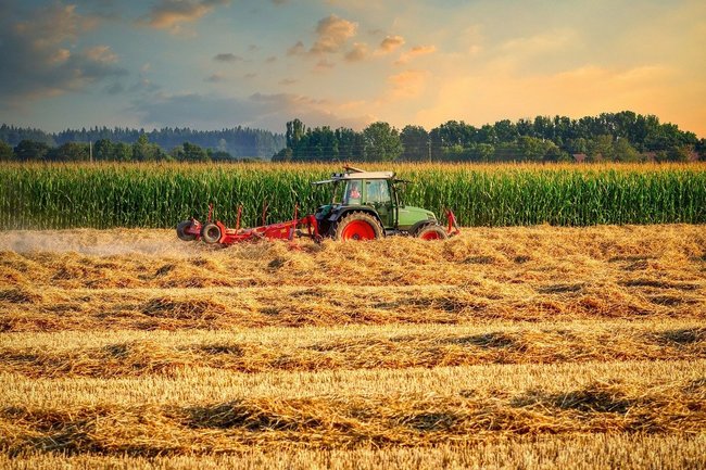 Агропром в России предложили развивать на арендных фермерских хозяйствах