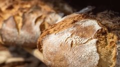 В Африке, страдающей от голода, признали, что российский хлеб оказывается на свалках