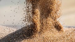 Хлеб ушел на экспорт: Минсельхоз заметил сокращение запаса зерна в России